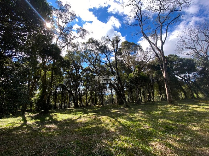 Excelente Área para Chácara no Rio Vermelho, Campo Alegre!!: 17ª foto da galeria de imagens do imóvel