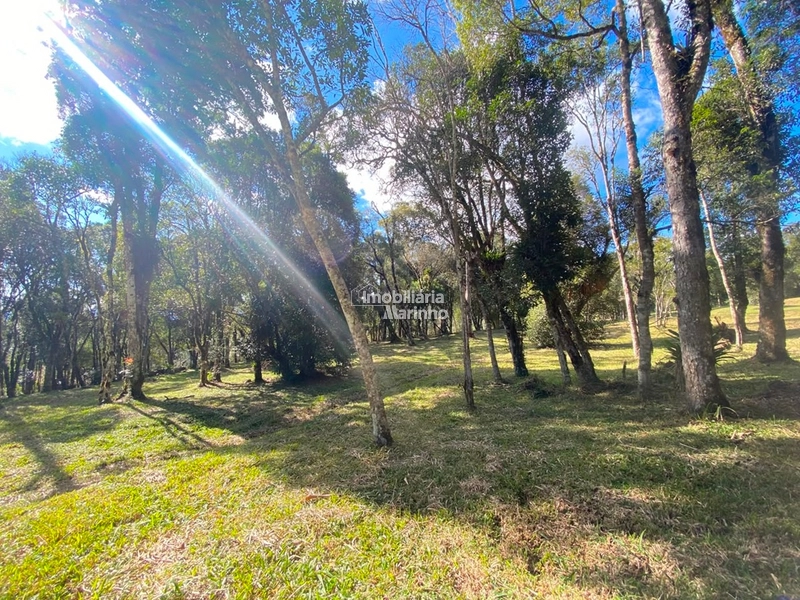 Excelente Área para Chácara no Rio Vermelho, Campo Alegre!!: 8ª foto da galeria de imagens do imóvel