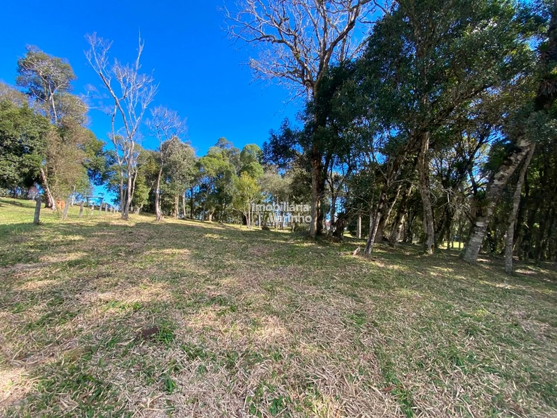 Excelente Área para Chácara no Rio Vermelho, Campo Alegre!!: 18ª foto da galeria de imagens do imóvel