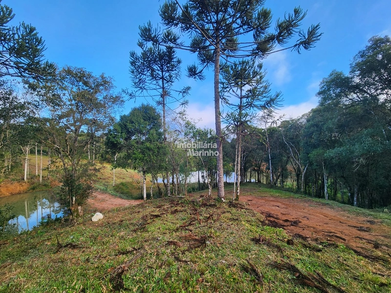 Terreno para Chácara em Ximbuva – Campo Alegre/SC: 8ª foto da galeria de imagens do imóvel