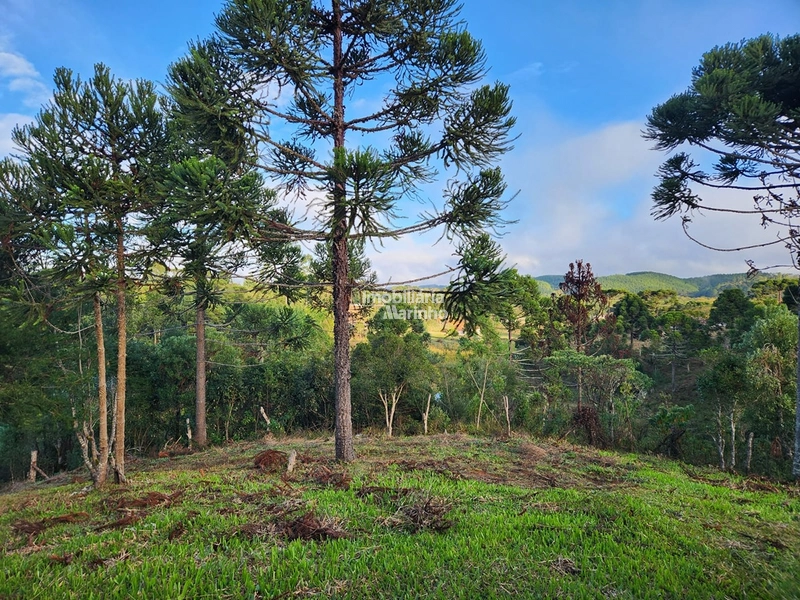 Terreno para Chácara em Ximbuva – Campo Alegre/SC: 3ª foto da galeria de imagens do imóvel