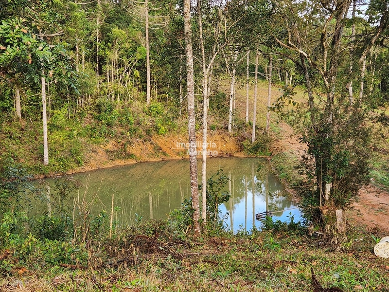 Terreno para Chácara em Ximbuva – Campo Alegre/SC: 4ª foto da galeria de imagens do imóvel