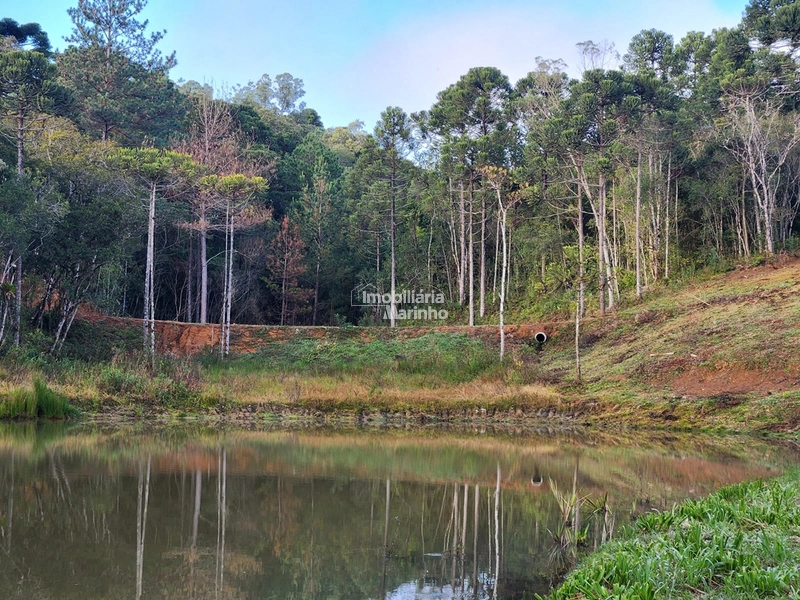 Terreno para Chácara em Ximbuva – Campo Alegre/SC: 13ª foto da galeria de imagens do imóvel