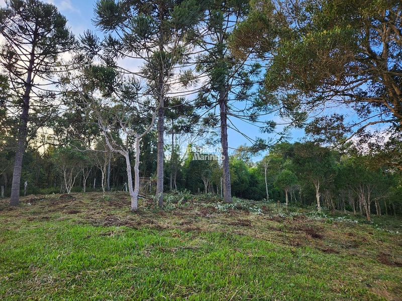 Terreno para Chácara em Ximbuva – Campo Alegre/SC: 9ª foto da galeria de imagens do imóvel