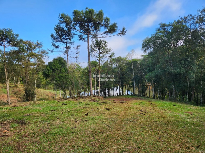 Terreno para Chácara em Ximbuva – Campo Alegre/SC: 11ª foto da galeria de imagens do imóvel