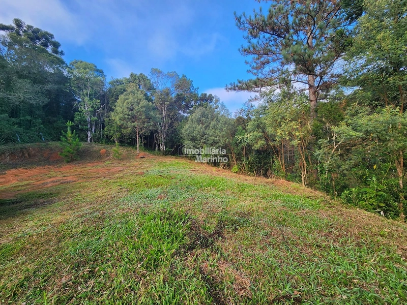 Terreno para Chácara em Ximbuva – Campo Alegre/SC: 5ª foto da galeria de imagens do imóvel