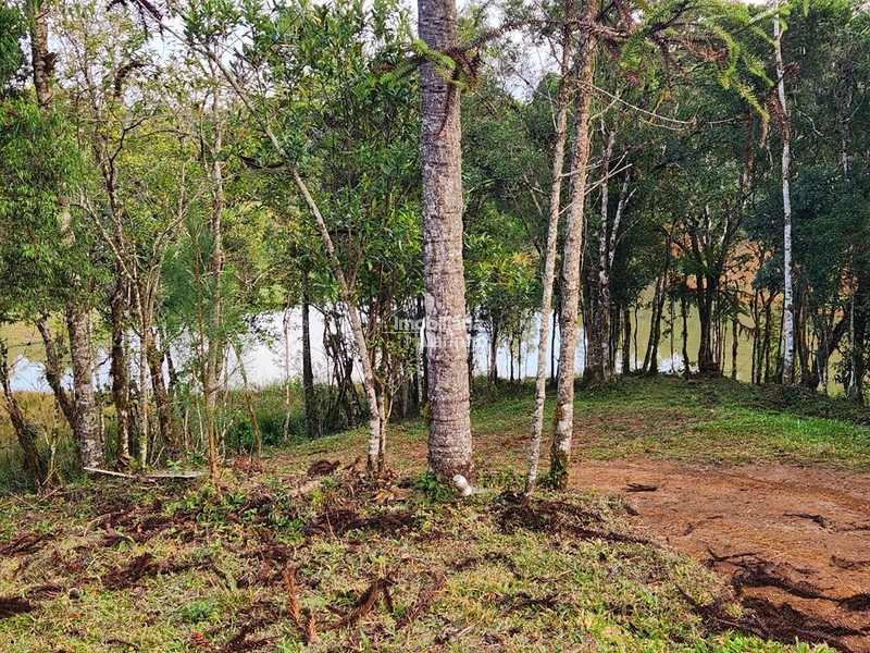 Terreno para Chácara em Ximbuva – Campo Alegre/SC: 12ª foto da galeria de imagens do imóvel
