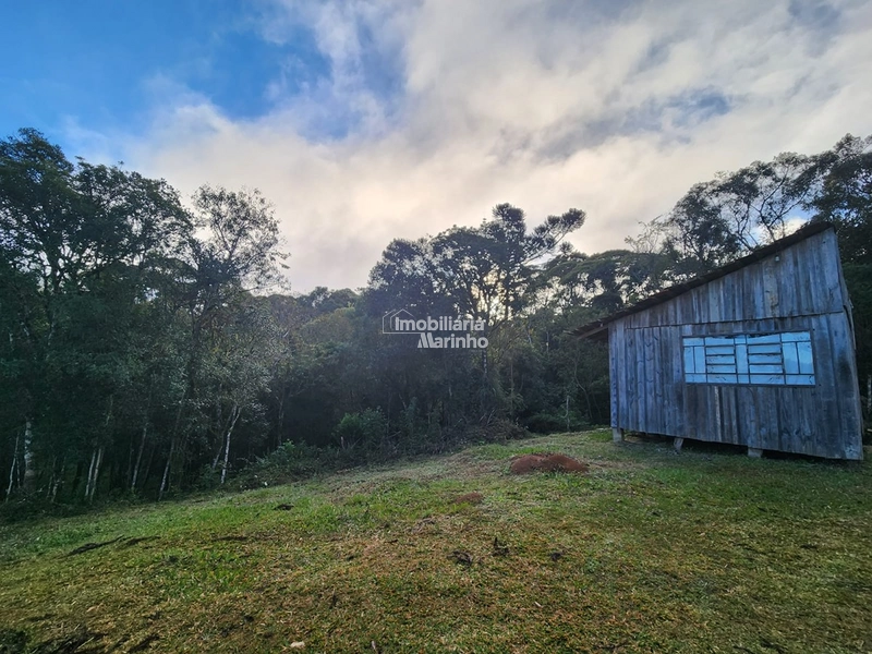 Terreno para Chácara em Ximbuva – Campo Alegre/SC: 2ª foto da galeria de imagens do imóvel