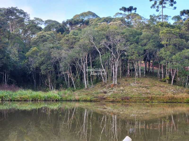 Terreno para Chácara em Ximbuva – Campo Alegre/SC: 10ª foto da galeria de imagens do imóvel