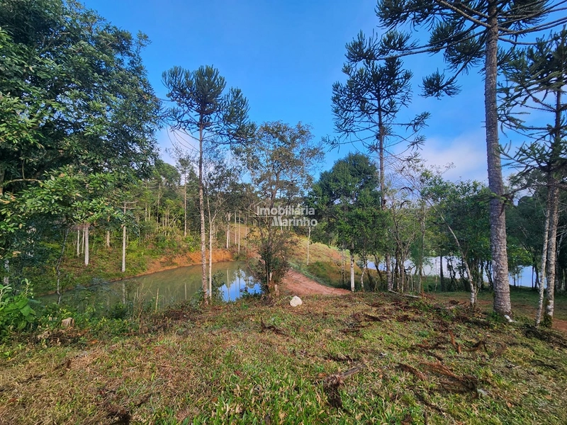 Terreno para Chácara em Ximbuva – Campo Alegre/SC: 7ª foto da galeria de imagens do imóvel
