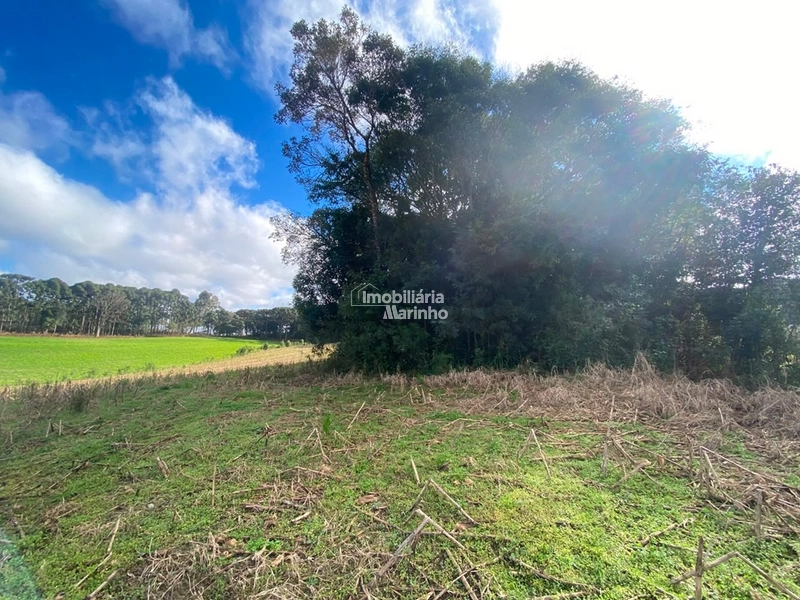 Terreno Rural com 47.415 m² em Campo Alegre – Natureza, Fácil Acesso e Grande Potencial!: 16ª foto da galeria de imagens do imóvel