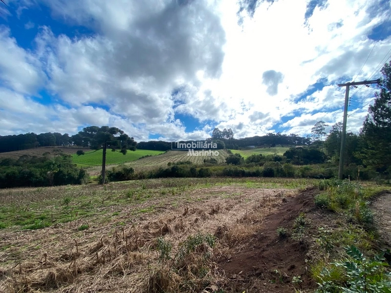 Terreno Rural com 47.415 m² em Campo Alegre – Natureza, Fácil Acesso e Grande Potencial!: 22ª foto da galeria de imagens do imóvel
