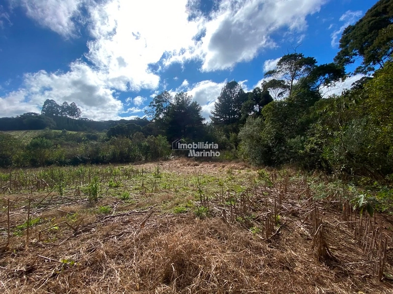 Terreno Rural com 47.415 m² em Campo Alegre – Natureza, Fácil Acesso e Grande Potencial!: 27ª foto da galeria de imagens do imóvel