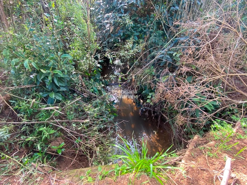 Terreno Rural com 47.415 m² em Campo Alegre – Natureza, Fácil Acesso e Grande Potencial!: 4ª foto da galeria de imagens do imóvel