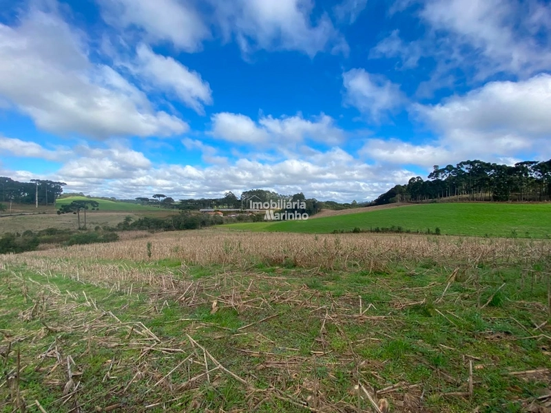 Terreno Rural com 47.415 m² em Campo Alegre – Natureza, Fácil Acesso e Grande Potencial!: 14ª foto da galeria de imagens do imóvel