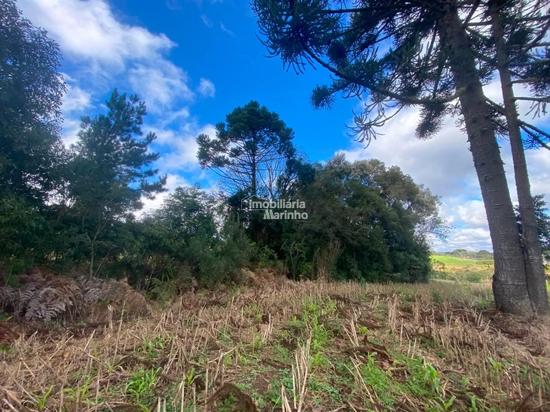Terreno Rural com 47.415 m² em Campo Alegre – Natureza, Fácil Acesso e Grande Potencial!: 5ª foto da galeria de imagens do imóvel