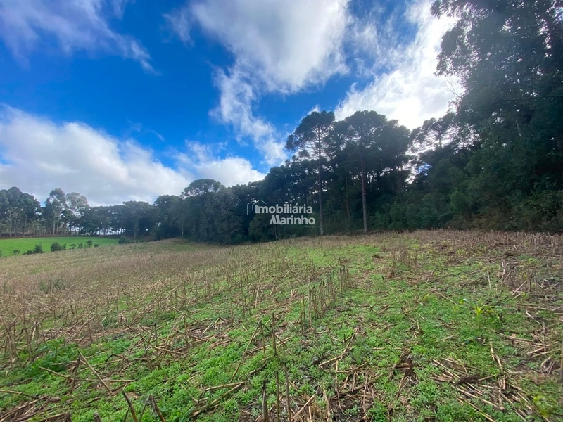 Terreno Rural com 47.415 m² em Campo Alegre – Natureza, Fácil Acesso e Grande Potencial!: 7ª foto da galeria de imagens do imóvel