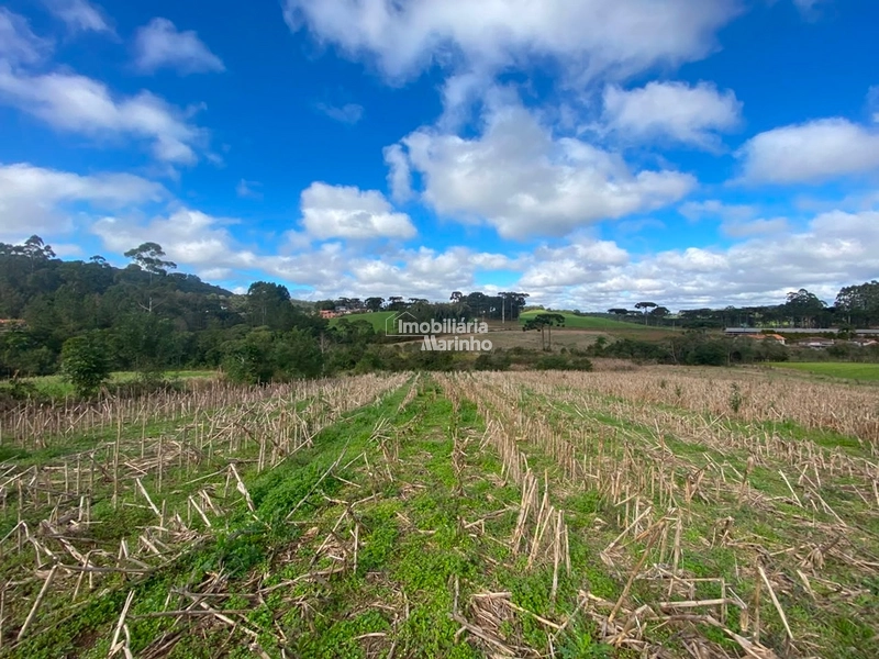Terreno Rural com 47.415 m² em Campo Alegre – Natureza, Fácil Acesso e Grande Potencial!: 17ª foto da galeria de imagens do imóvel