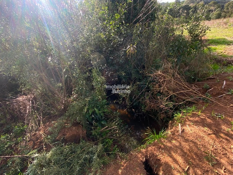 Terreno Rural com 47.415 m² em Campo Alegre – Natureza, Fácil Acesso e Grande Potencial!: 20ª foto da galeria de imagens do imóvel