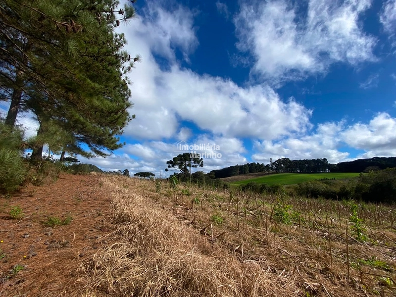 Terreno Rural com 47.415 m² em Campo Alegre – Natureza, Fácil Acesso e Grande Potencial!: 25ª foto da galeria de imagens do imóvel