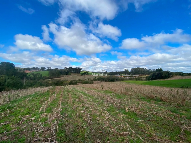 Terreno Rural com 47.415 m² em Campo Alegre – Natureza, Fácil Acesso e Grande Potencial!: 10ª foto da galeria de imagens do imóvel