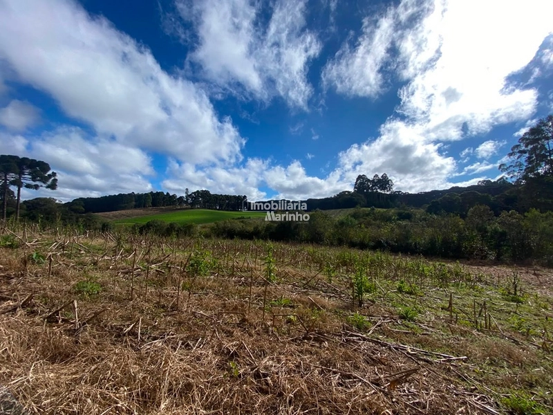 Terreno Rural com 47.415 m² em Campo Alegre – Natureza, Fácil Acesso e Grande Potencial!: 26ª foto da galeria de imagens do imóvel