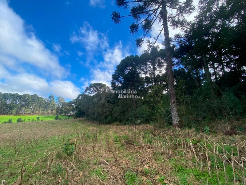 Terreno Rural com 47.415 m² em Campo Alegre – Natureza, Fácil Acesso e Grande Potencial!: 15ª foto da galeria de imagens do imóvel