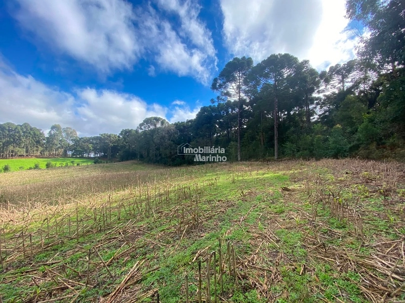 Terreno Rural com 47.415 m² em Campo Alegre – Natureza, Fácil Acesso e Grande Potencial!: 3ª foto da galeria de imagens do imóvel