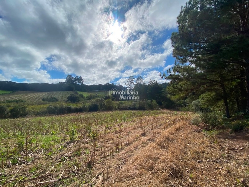 Terreno Rural com 47.415 m² em Campo Alegre – Natureza, Fácil Acesso e Grande Potencial!: 19ª foto da galeria de imagens do imóvel