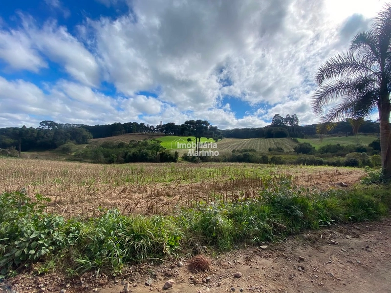 Terreno Rural com 47.415 m² em Campo Alegre – Natureza, Fácil Acesso e Grande Potencial!: 23ª foto da galeria de imagens do imóvel