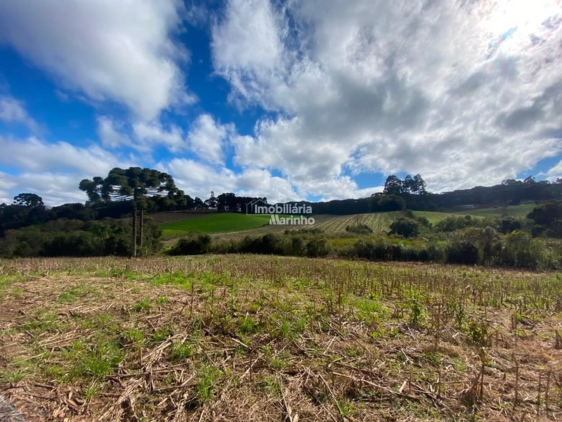 Terreno Rural com 47.415 m² em Campo Alegre – Natureza, Fácil Acesso e Grande Potencial!: 18ª foto da galeria de imagens do imóvel