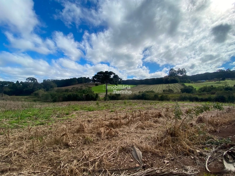 Terreno Rural com 47.415 m² em Campo Alegre – Natureza, Fácil Acesso e Grande Potencial!: 21ª foto da galeria de imagens do imóvel