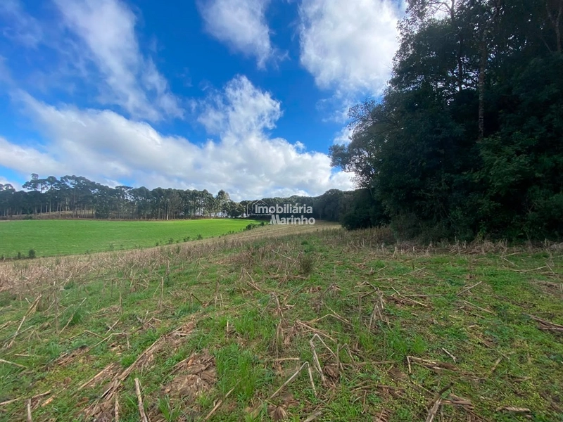 Terreno Rural com 47.415 m² em Campo Alegre – Natureza, Fácil Acesso e Grande Potencial!: 13ª foto da galeria de imagens do imóvel