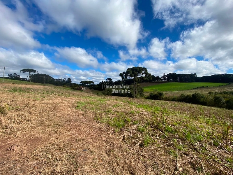Terreno Rural com 47.415 m² em Campo Alegre – Natureza, Fácil Acesso e Grande Potencial!: 24ª foto da galeria de imagens do imóvel