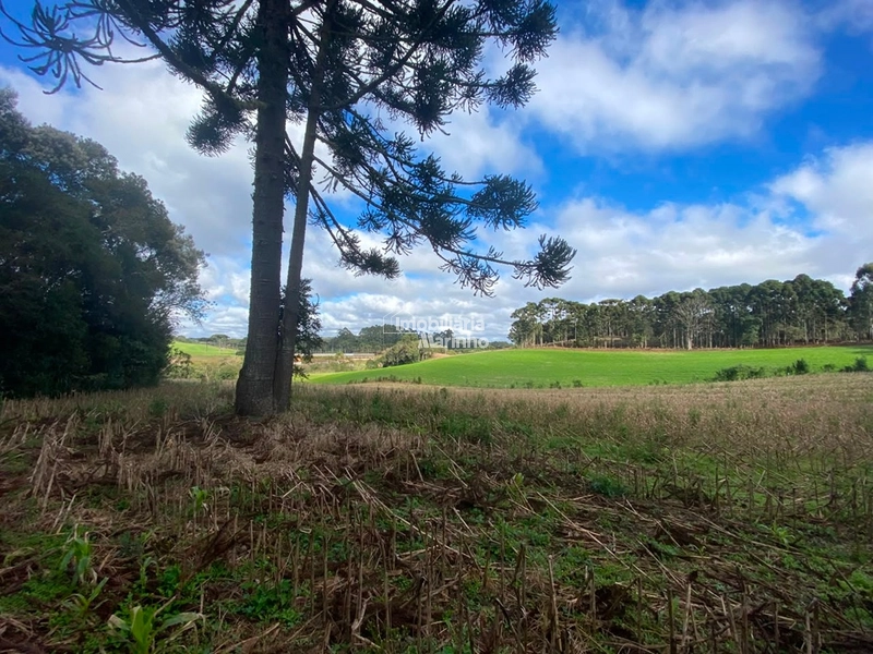 Terreno Rural com 47.415 m² em Campo Alegre – Natureza, Fácil Acesso e Grande Potencial!: 6ª foto da galeria de imagens do imóvel
