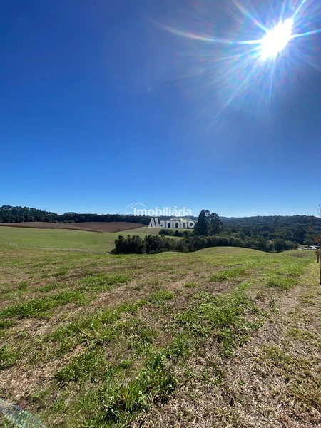 Exclusividade Chácara na Avenquinha em Campo Alegre/SC: 19ª foto da galeria de imagens do imóvel