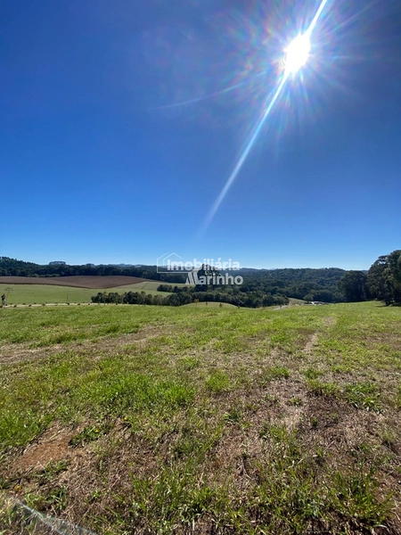 Exclusividade Chácara na Avenquinha em Campo Alegre/SC: 6ª foto da galeria de imagens do imóvel