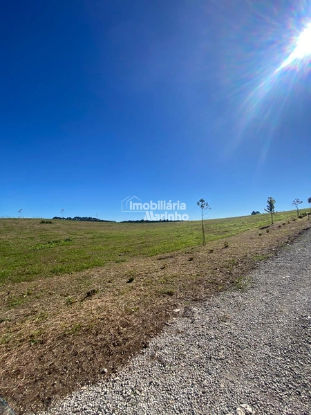 Exclusividade Chácara na Avenquinha em Campo Alegre/SC: 26ª foto da galeria de imagens do imóvel