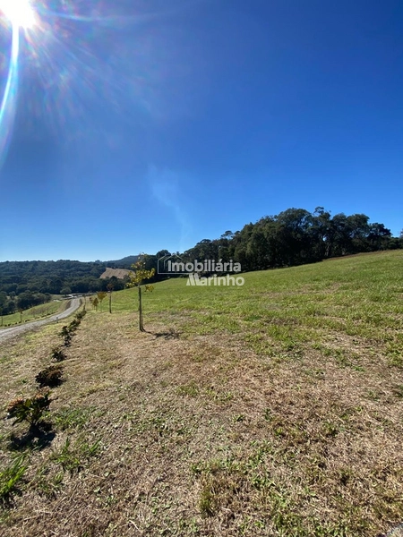 Exclusividade Chácara na Avenquinha em Campo Alegre/SC: 12ª foto da galeria de imagens do imóvel