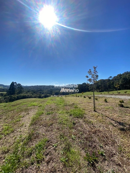 Exclusividade Chácara na Avenquinha em Campo Alegre/SC: 23ª foto da galeria de imagens do imóvel