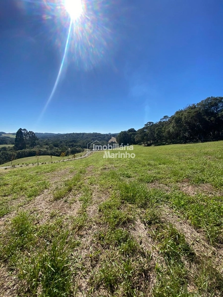 Exclusividade Chácara na Avenquinha em Campo Alegre/SC: 9ª foto da galeria de imagens do imóvel