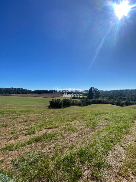 Exclusividade Chácara na Avenquinha em Campo Alegre/SC: 15ª foto da galeria de imagens do imóvel