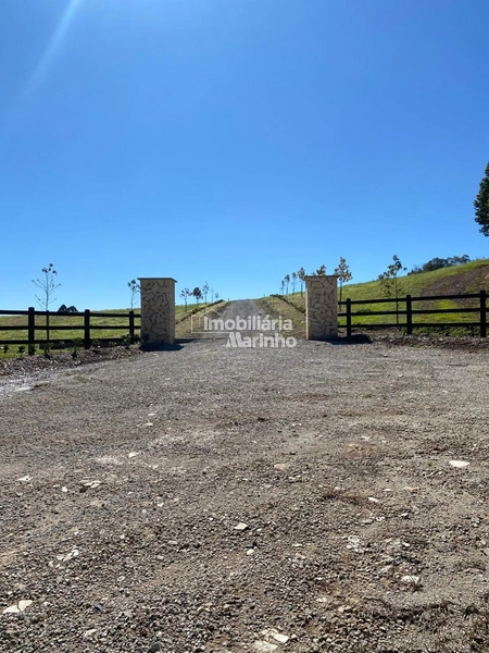 Exclusividade Chácara na Avenquinha em Campo Alegre/SC: 3ª foto da galeria de imagens do imóvel