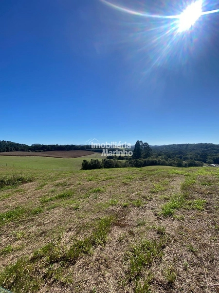 Exclusividade Chácara na Avenquinha em Campo Alegre/SC: 2ª foto da galeria de imagens do imóvel