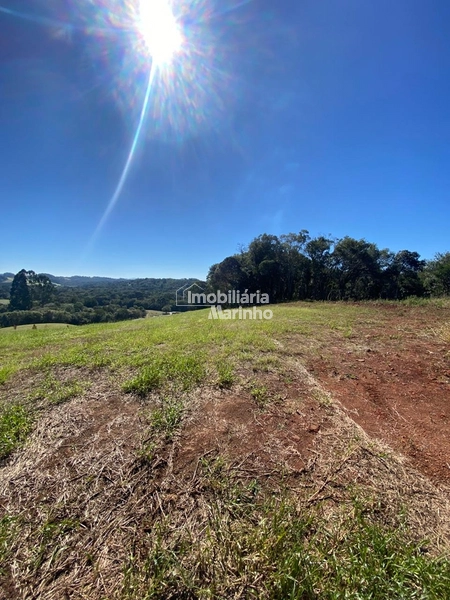 Exclusividade Chácara na Avenquinha em Campo Alegre/SC: 7ª foto da galeria de imagens do imóvel