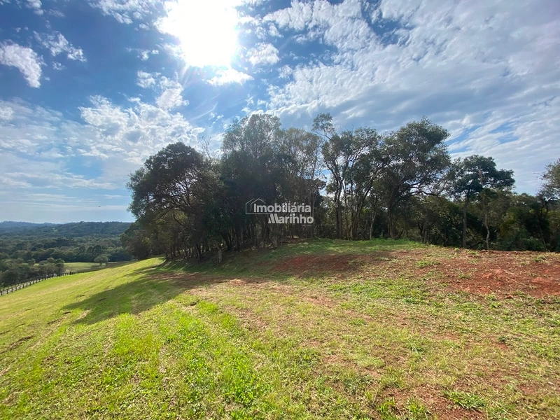 Exclusividade Chácara na Avenquinha em Campo Alegre/SC: 14ª foto da galeria de imagens do imóvel