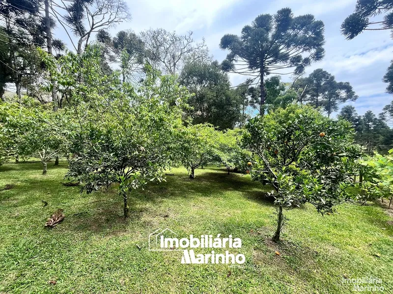 null: 24ª foto da galeria de imagens do imóvel