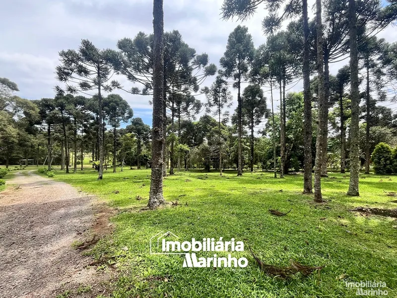 null: 2ª foto da galeria de imagens do imóvel