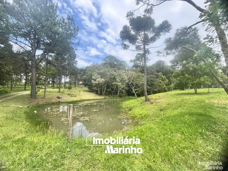 null: 11ª foto da galeria de imagens do imóvel