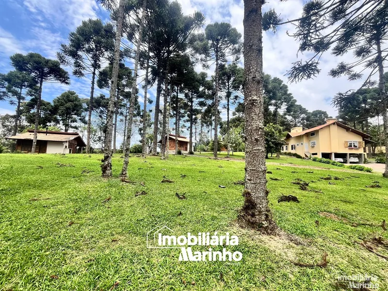 null: 12ª foto da galeria de imagens do imóvel